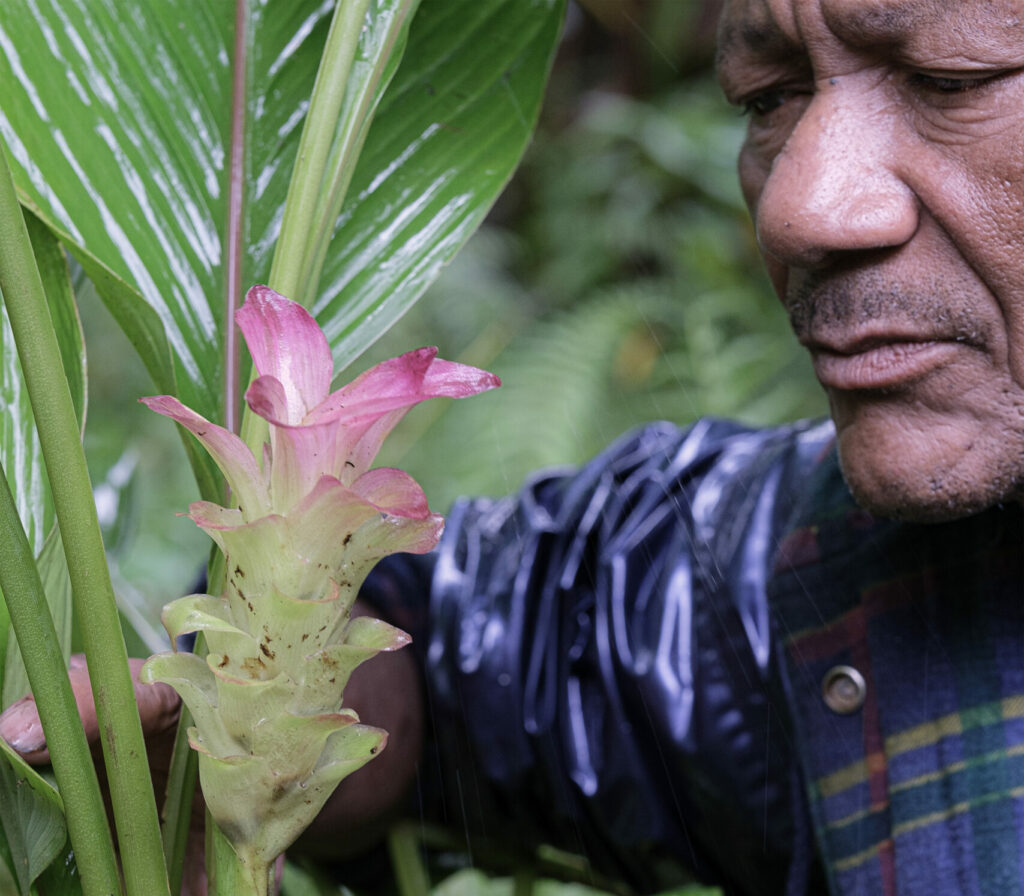 The landscape of Voloina